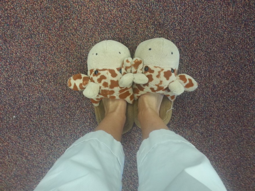 My favorite giraffe slippers