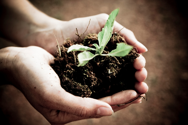 grow_hand-holding-compost2