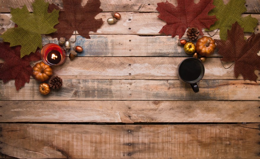 acorns-autumn-autumn-decoration-730286