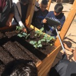 Watering, and watching watering