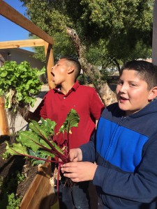 The primal joy of beets.