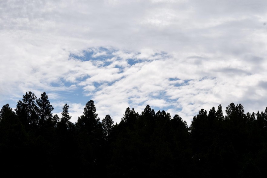 This photo shows clouds and pine trees..